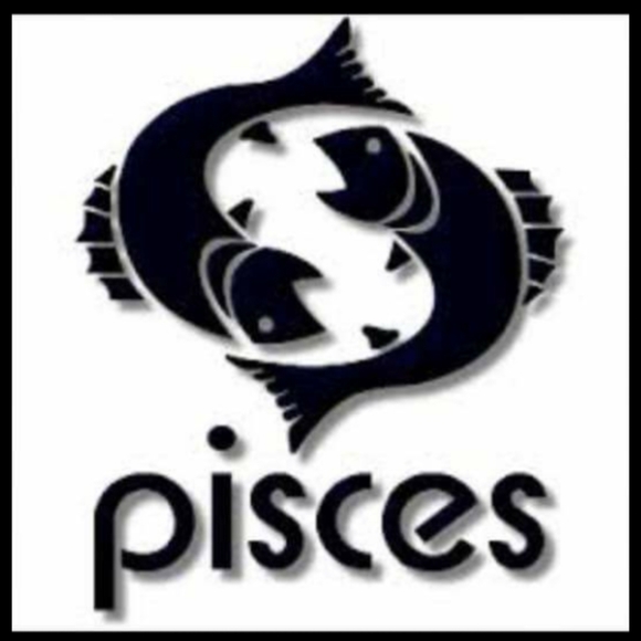 Meet your Posher, Tyrrone - Picture 14 of 14